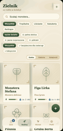 Platana kolekcja